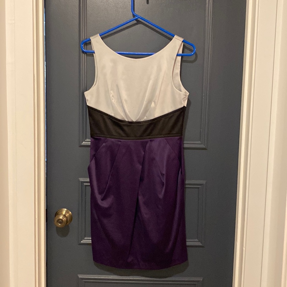 Purple, black and silver holiday dress.